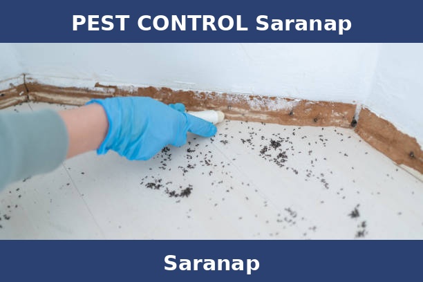 PEST CONTROL Saranap